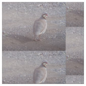 Tissu avec la conception de Chukar (Détail)