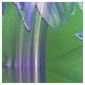 Tissu Bachelor Buttons.... (Fermer)