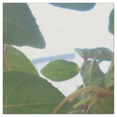 Tissu Bachkirtseff (Fermer)