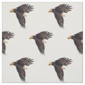 Tissu Bald Eagle Dive (Échantillon)