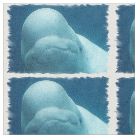 Tissu Baleine de beluga (Fermer)