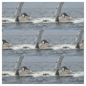 Tissu Baleine de bosse (Échantillon)