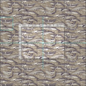 Tissu baleines de Minke pierre de mûrier (Carreau)