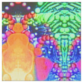 Tissu Batallions KCFX Fabric Yard (Fermer)