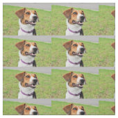 Tissu Beagle (Échantillon)