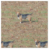 Tissu Beagle (fermé)