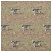 Tissu Beagle (Échantillon)