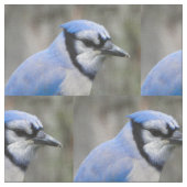 Tissu Beau plan rapproché de geai bleu (Fermer)