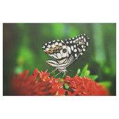 Tissu Beautiful Butterfly on Red Flowers (Yard)