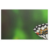 Tissu Beautiful Butterfly on Red Flowers (Fat Quarter)