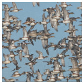 Tissu Beaux canards d'hiver en vol (Fermer)