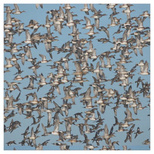 Tissu Beaux canards d'hiver en vol (Échantillon)