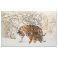 Bébé de famille de tigre
