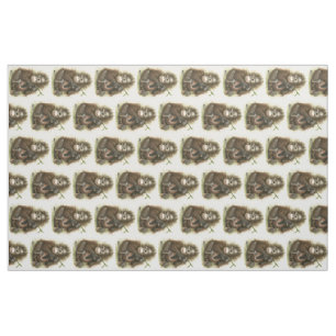 Tissu Bébé d'orang-outan avec le feuille