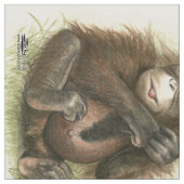 Tissu Bébé d'orang-outan avec le feuille (Fermer)