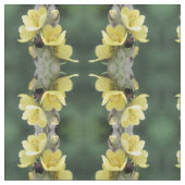 Tissu Beetle sur Fleur Mullein Sauvage (Fermer)