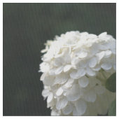 Tissu Belle Fleur d'Hydrange Lime Blanc (fermé)