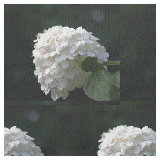 Tissu Belle Fleur d'Hydrange Lime Blanc (Échantillon)