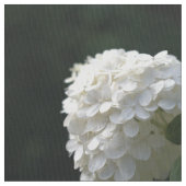 Tissu Belle Hydrangea Florale de Lime Blanc (fermé)
