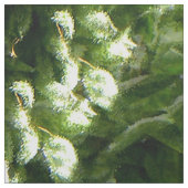 Tissu Belle illusion....... (Échantillon)