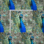 Tissu Belles plumes de paon bleu (Carreau)