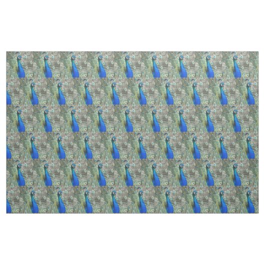 Tissu Belles plumes de paon bleu (Fat Quarter)