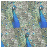 Tissu Belles plumes de paon bleu (Fermer)