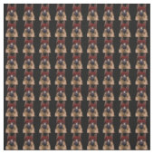 Tissu Berger Allemand (Échantillon)