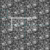 Tissu BITE ME orchidées et rose NOIR BLANC (Carreau)