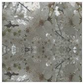 Tissu blanc de fleur de prune (Fermer)