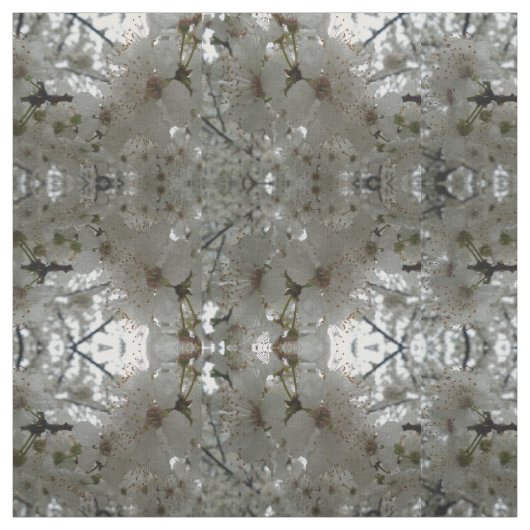 Tissu blanc de fleur de prune (Échantillon)