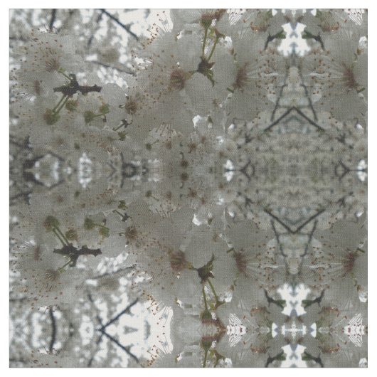 Tissu blanc de fleur de prune (Fermer)