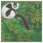 Tissu blanc noir de lémur de Ruffed (Fermer)