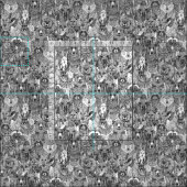 Tissu blanc noir des animaux canadiens (Carreau)