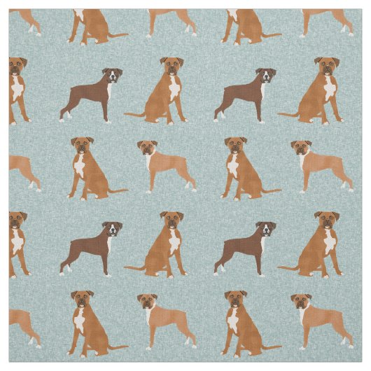 Tissu bleu clair de chien de boxe (Échantillon)