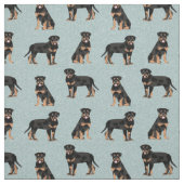 Tissu bleu clair de chien de rottweiler (Échantillon)