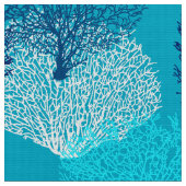 Tissu Bleu de corail d'impression, de turquoise, d'Aqua (Fermer)