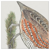 Tissu Bobwhite Quail (Fermer)