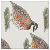 Tissu Bobwhite Quail (Échantillon)