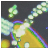 Tissu Bonheur de l'oubli (Fermer)