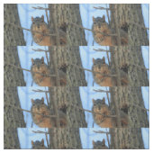 Tissu Bonjour (Échantillon)