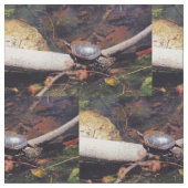 Tissu Bonne tortue (Fermer)