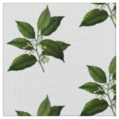 Tissu botanique vintage d'impression de feuillage (Fermer)