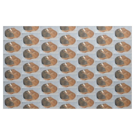 Tissu Boule de la laideur (Fat Quarter)