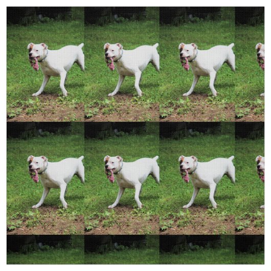 Tissu Boxer (Échantillon)