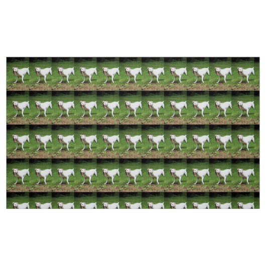 Tissu Boxer (Fat Quarter)