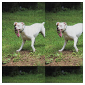 Tissu Boxer (Fermer)