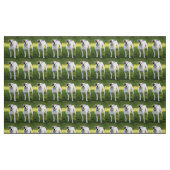 Tissu Boxer (Fat Quarter)