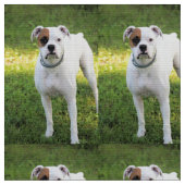 Tissu Boxer (Fermer)