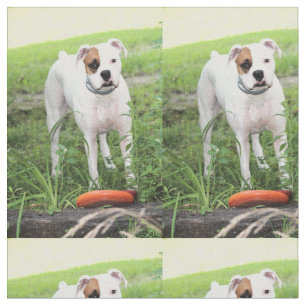 Tissu Boxer